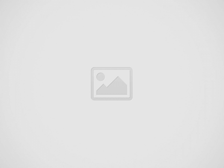 Gallery Post Type